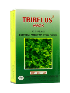 Tribelus Maxx