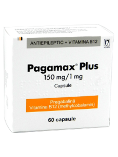 Pagamax Plus N60