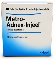 Метро-Аднекс-Инжель N10