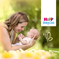 Hipp в Молдове: Официальный продавец Hippocrates