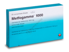 Metfogamma N30