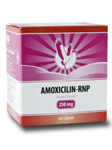 Amoxicilina N100