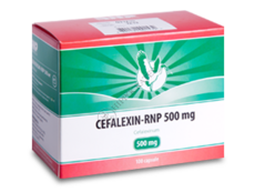 Cefalexin N100