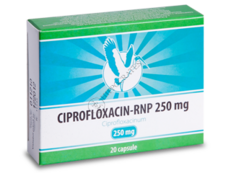 Ciprofloxacin N20