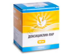 Doxiciclin-RNP N100