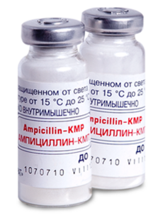 Ampicillin-KMP N10