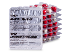 Ampicillin-RNP N100