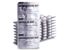 Ampicillin-RNP N100