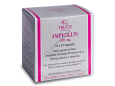 Ampicilina N100