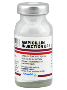 Ampicillina N1