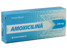 Amoxicilina N20