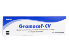 Gramocef-CV N10