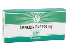 Ampicillin-RNP N20