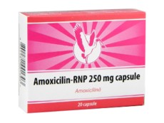 Amoxicilina N20