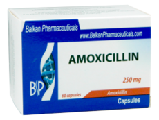 Amoxicilina N60