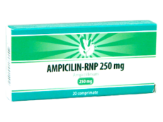 Ampicillin-RNP N20