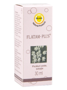 Flatam-Plus N1