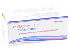 Ceftazidim N10