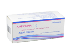 Ampicilina N10