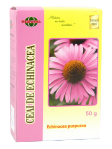 Echinacea purpurea (Echinacea, Эхинацея) flores N1