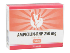 Ampicillin-RNP N20