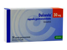 Dulsevia N30