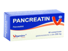 Панкреатин N60