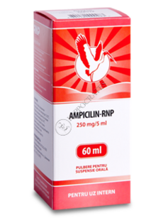 Ampicillin-RNP N1