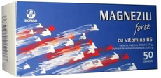 Magnefort B6