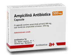 Ампициллин N10