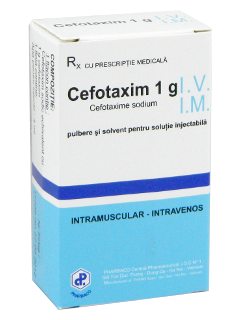 Cefotaxim N1