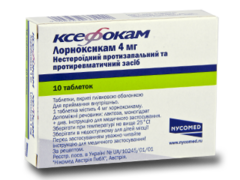 Xefocam N10