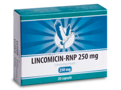 Lincomicin-RNP N20