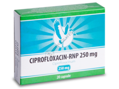 Ciprofloxacin N20