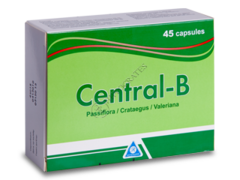 Централ-Б N45