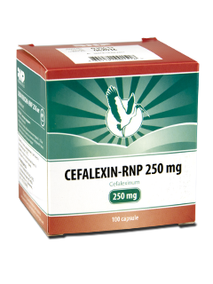 Cefalexin N100