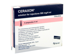 Ceraxon N5
