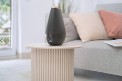 Beurer Увлажнитель воздуха LB37 LIMITED EDITION N1