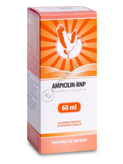 Ampicillin-RNP N1