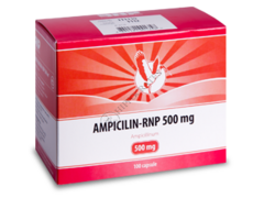 Ampicillin-RNP N100