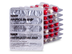 Ampicillin-RNP N100