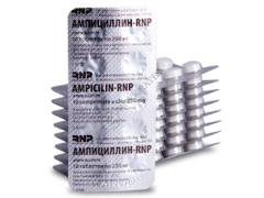 Ampicillin-RNP N100