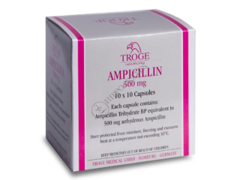 Ampicilina N100