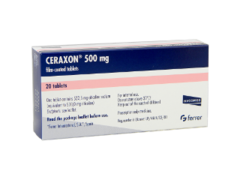 Ceraxon N20