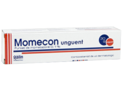 Momecon