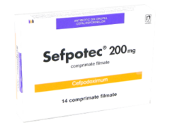 Sefpotec