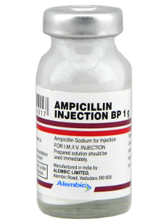 Ampicillina N1