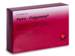Ферро-Фольгамма N20
