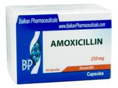 Amoxicilina N60