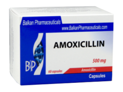 Amoxicilina N60